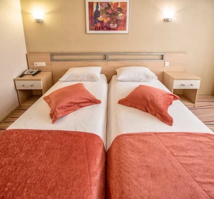 Палладиум 5