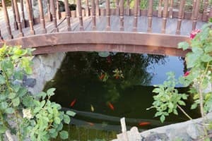 Пампушка & Подушка 12