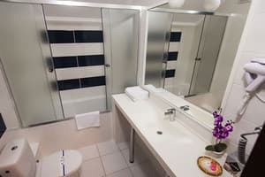 Отель Park Hotel. Делюкс двухместный  4