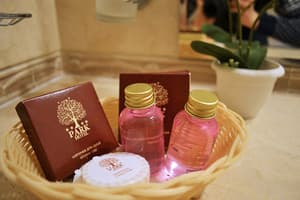 Отель Park Hotel. Улучшенный двухместный (Superior) 4