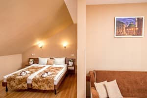 Отель Писанка Hotel & SPA. Полулюкс 4-местный однокомнатный 33 кв.м. 4