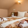 Отель Писанка Hotel & SPA. Полулюкс 4-местный однокомнатный 33 кв.м. 3