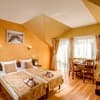 Отель Писанка СПА&Hotel. Стандарт трехместный (Triple) 1
