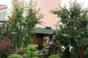 Райское Яблоко 8