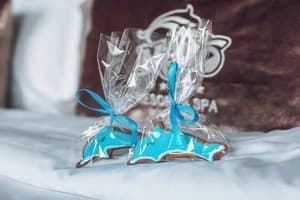 Resort & Spa Hotel NEMO 25