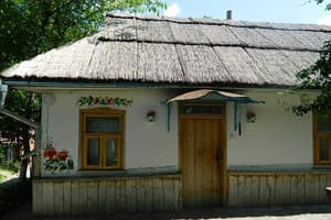 Частная усадьба Родинне гніздо (с.Канава). Коттедж 6-местный Крестьянская хата 1