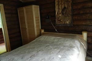 Частная усадьба Родинне гніздо (с.Канава). Коттедж двухместный Дом охотника 5
