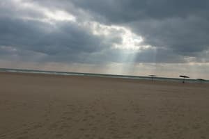 Шевченковский 9