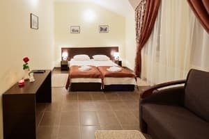 Мини-отель Sleeping hotel. Стандарт двухместный  1
