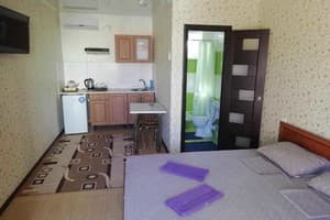 Апарт-готель Сонячна дача. Студіо двомісний з кухнею 5