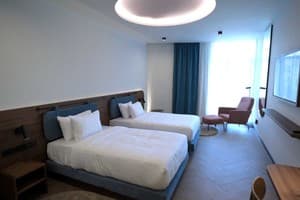 Гостинично-ресторанный комплекс Spatium Medical & Wellness Hotel. Супериор двухместный с отдельными кроватями 1