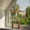 Апарт-отель Trend House. Апартаменты 4-местный  14