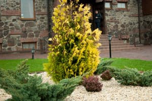 Отель Відень (Зимняя Вода)