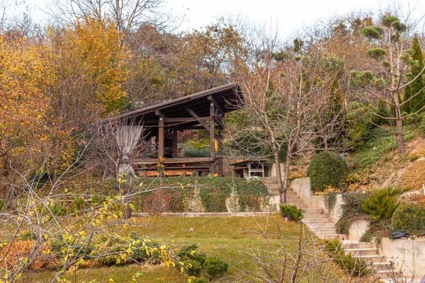 Villa Crocus 17