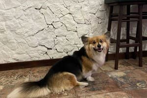 WINE & ROSE BOUTIQUE HOTEL 15