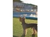 Weekend Family Hotel 6