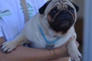 Weekend Family Hotel 20